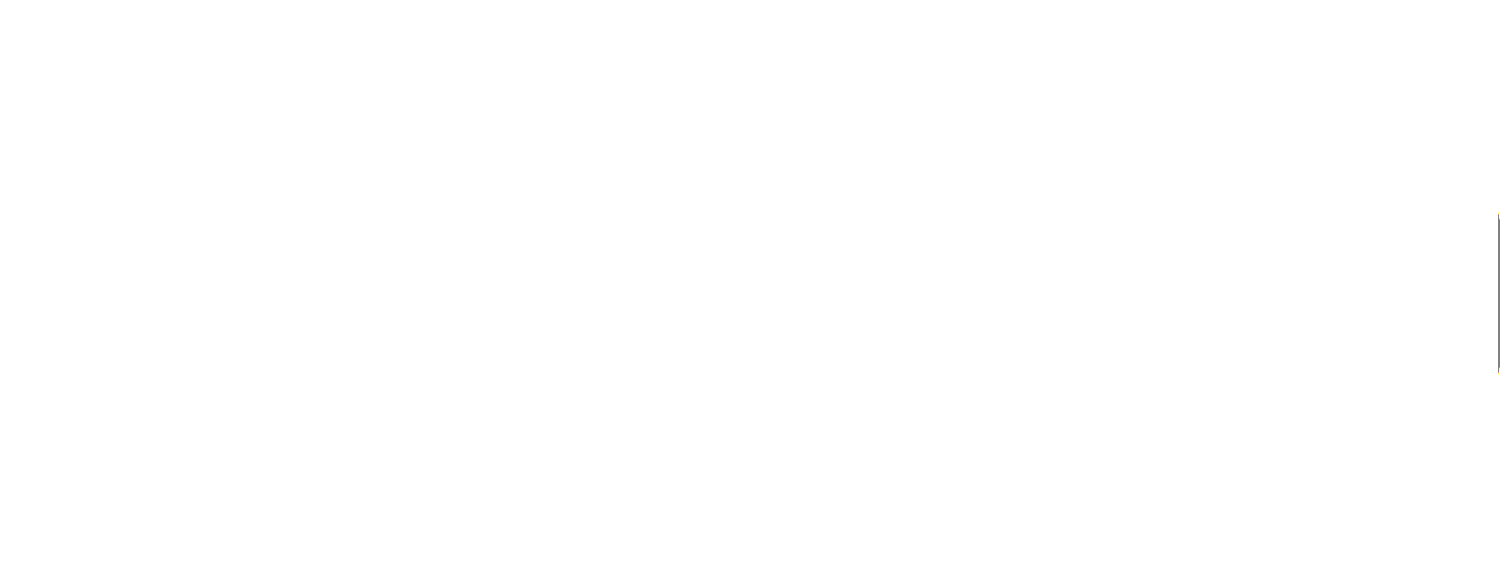 P150 logo